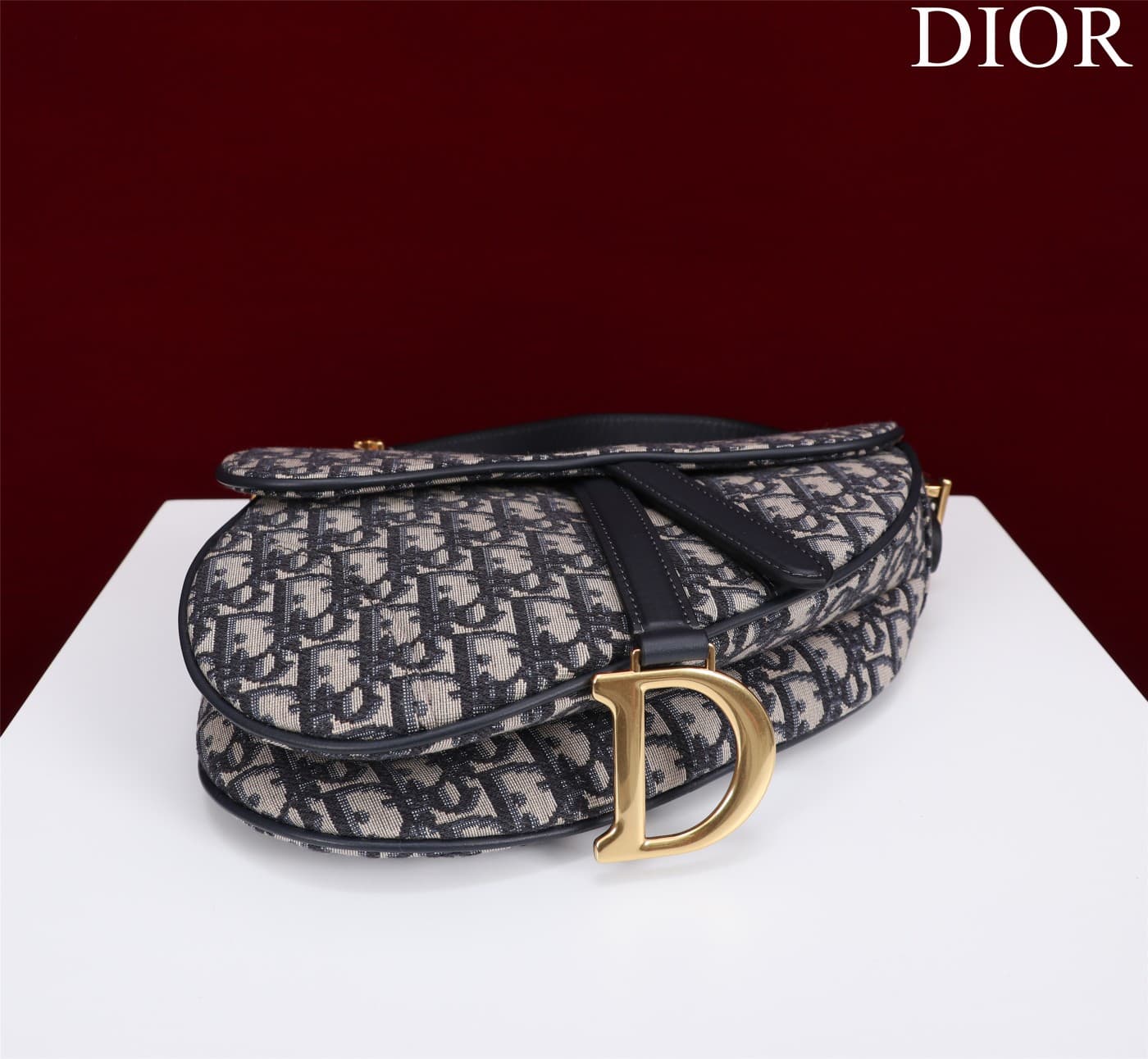 DIOR Women's Saddle Handbag