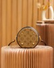 LOUIS VUITTON Monogram Cannes Handbag