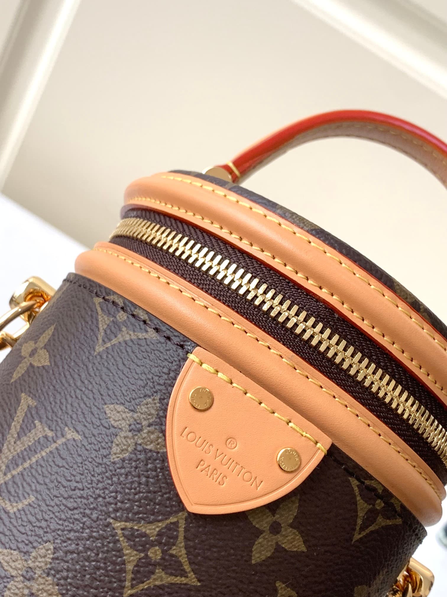 LOUIS VUITTON Monogram Cannes Handbag