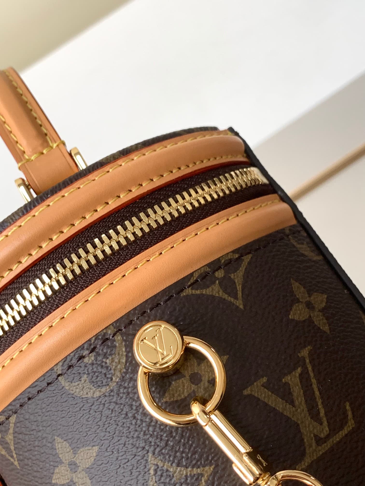 LOUIS VUITTON Monogram Cannes Handbag