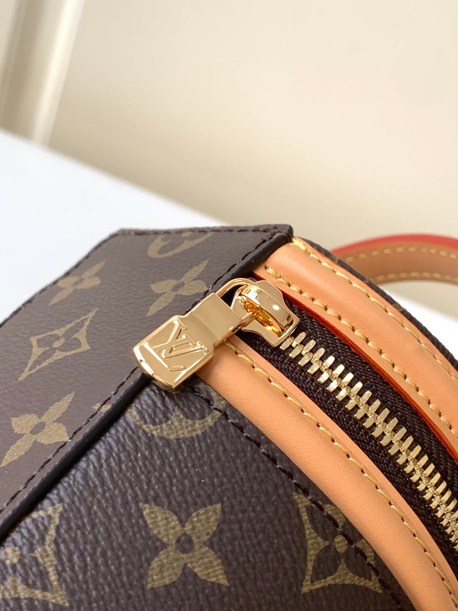 LOUIS VUITTON Monogram Cannes Handbag