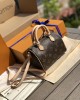 LOUIS VUITTON Women's Speedy nano Handbag